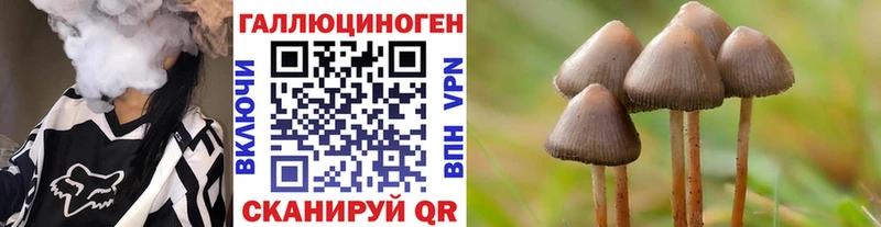 Галлюциногенные грибы Magic Shrooms  Киселёвск 
