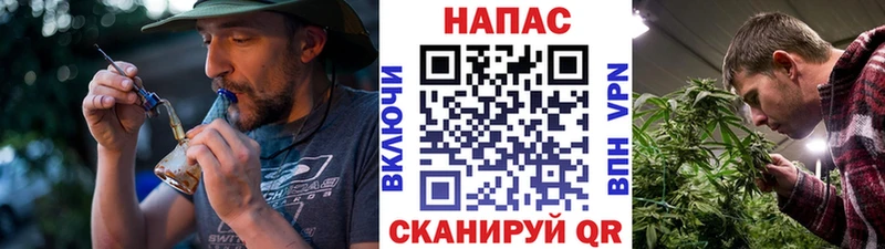 shop телеграм  Киселёвск  Марихуана планчик  наркошоп 
